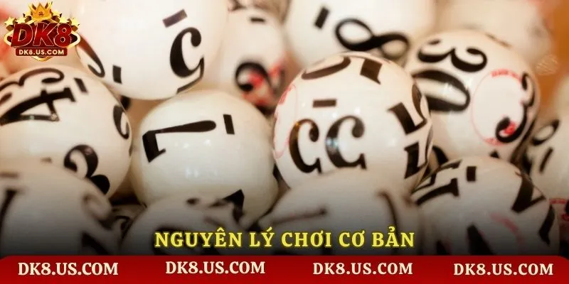 Nguyên lý chơi cơ bản
