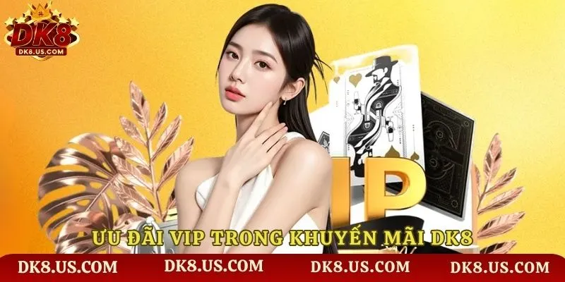 Ưu đãi VIP trong khuyến mãi DK8